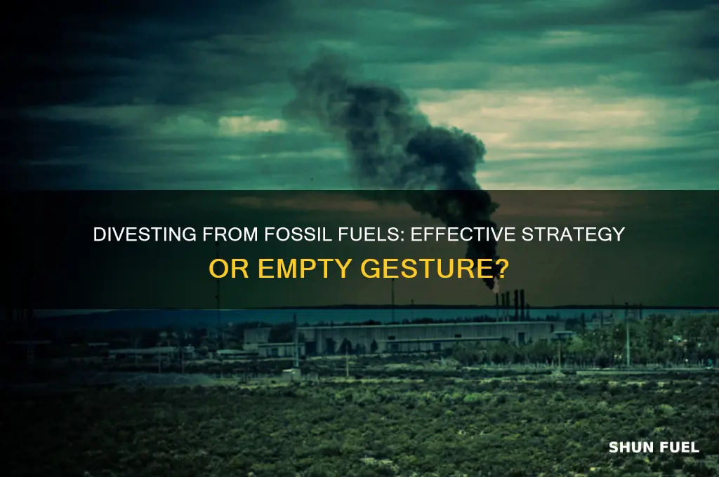 does divesting from fossil fuels have an inpact