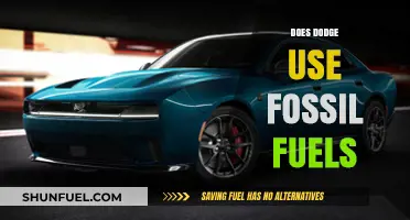 Dodge's Fossil Fuel Usage: An Overview