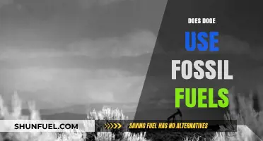 Doge's Dirty Secret: Fossil Fuel Usage