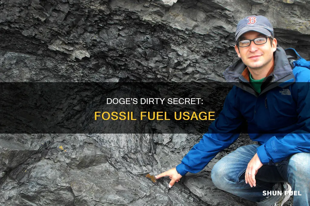 does doge use fossil fuels