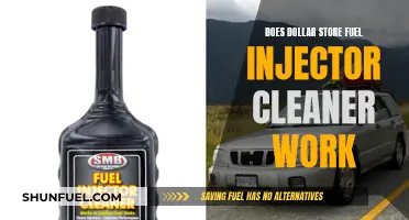 Dollar Store Fuel Injector Cleaner: Does It Work?