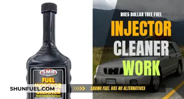 Dollar Tree Fuel Injector Cleaner: Does It Work?