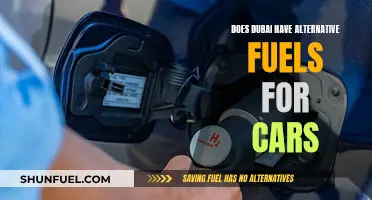 Dubai's Alternative Fuel Options: Powering the City's Cars