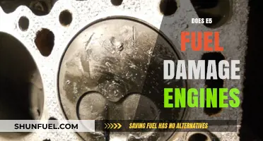 E5 Fuel: Engine Damage Concerns and Facts Explained