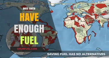 Earth's Fuel Reserves: Are They Sufficient for Our Future Needs?