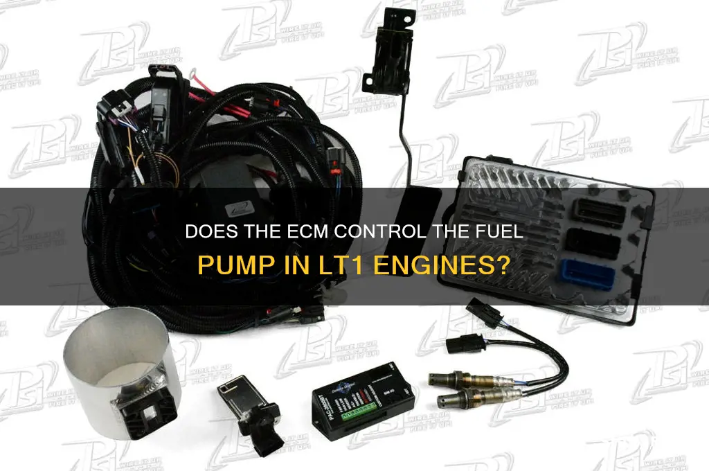 does ecm control fuel pump in lt1