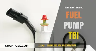 Does the ECM Control the Fuel Pump in TBI Systems?