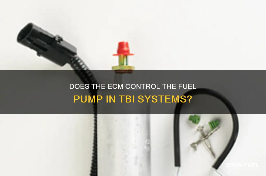 does ecm control fuel pump tbi