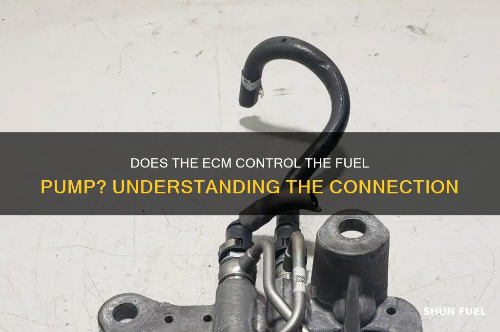 does ecm control fuel pump
