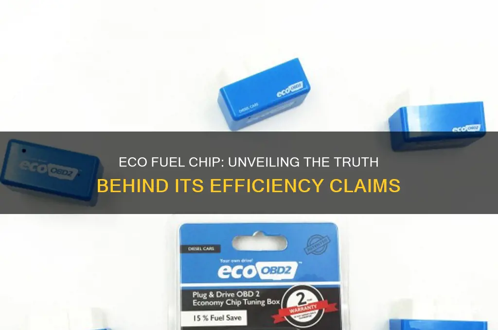 does eco fuel chip work