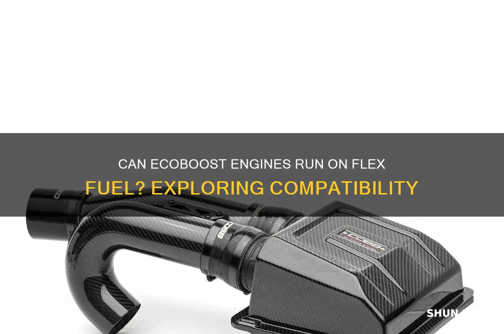 does ecoboost use flex fuel