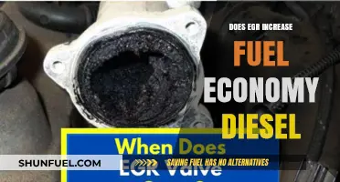 EGR Systems: Diesel Fuel Economy Boost?