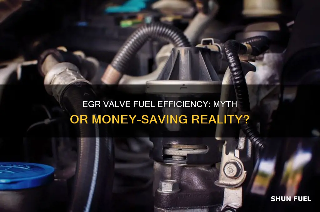 does egr valve save fuel