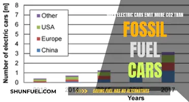 Electric Cars: More Eco-Friendly or a Greenwashing Myth?