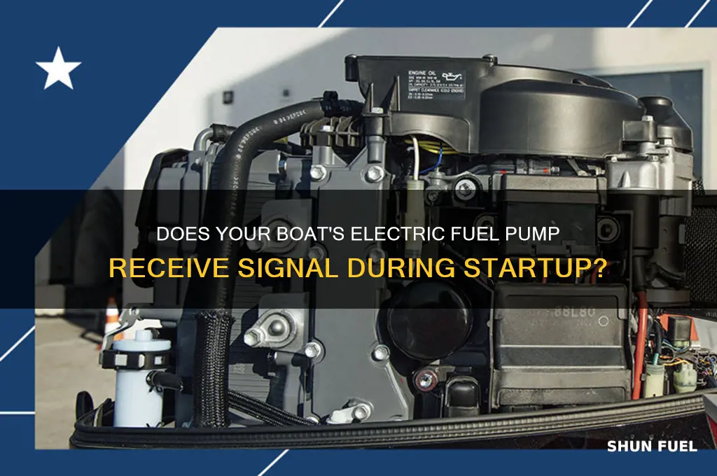 does electric fuel pump get signal at starting boat