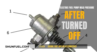 Electric Fuel Pump: Holding Pressure After Shutdown?