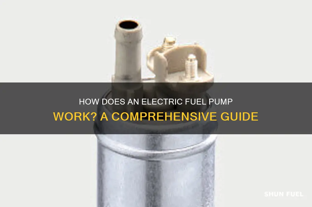 does electric fuel pump work