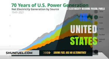 Fossil Fuels and Electricity: United States' Energy Sources