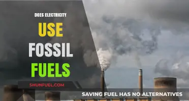 Electricity Generation: Fossil Fuels' Role and Sustainable Alternatives Explored