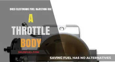 Does Electronic Fuel Injection Utilize a Throttle Body?