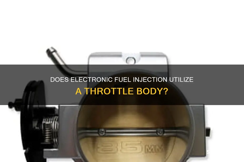 does electronic fuel injection use a throttle body
