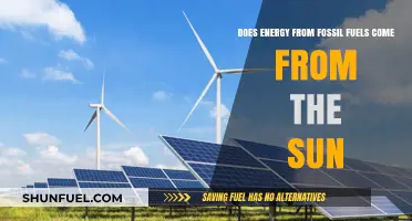 Fossil Fuels: Sun-Derived Energy Source?