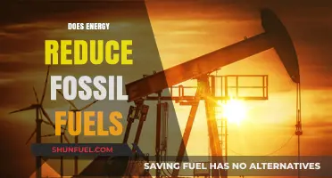 Energy Efficiency: Reducing Our Fossil Fuel Dependence