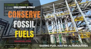 Ethanol's Impact: Fossil Fuel Conservation or Consumption?