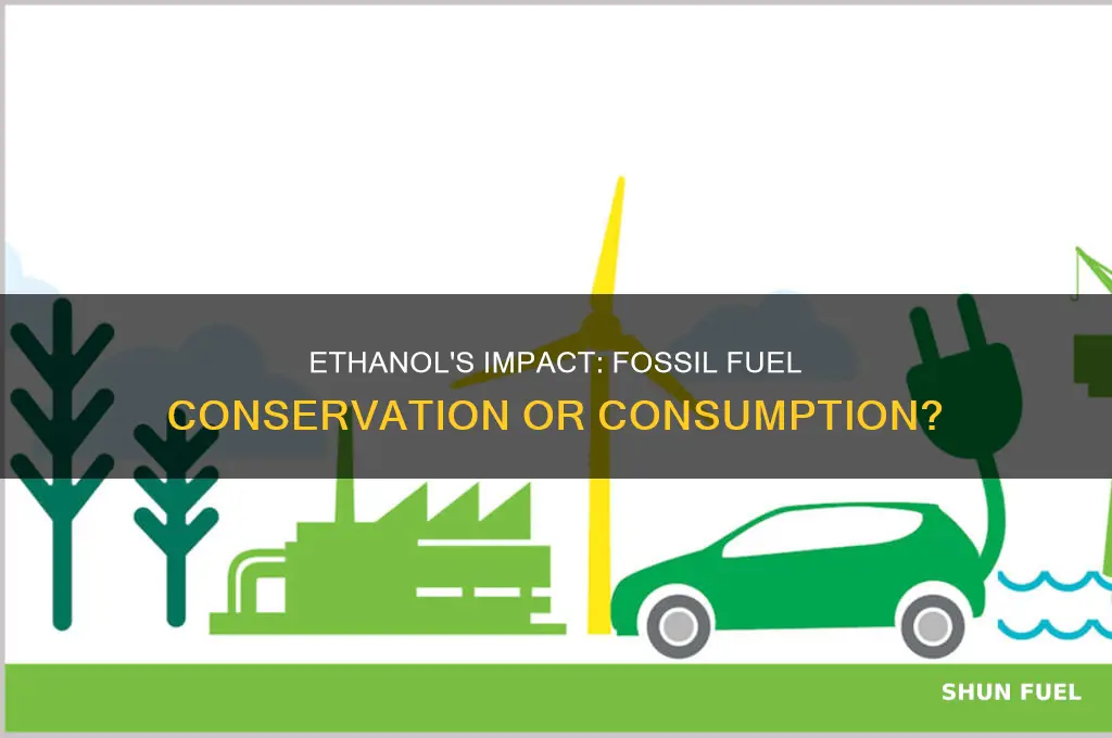 does ethanol actually conserve fossil fuels