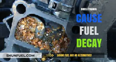 Ethanol's Impact: Does It Accelerate Fuel Decay in Vehicles?