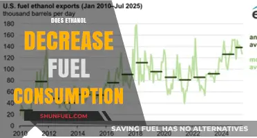 Ethanol's Impact: Does It Really Reduce Fuel Consumption?