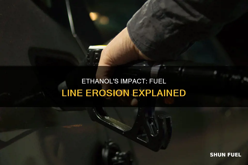 does ethanol eat fuel lines