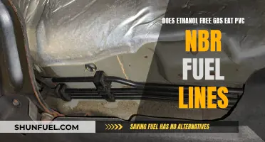 Ethanol-Free Gas: Safe for PVC NBR Fuel Lines?