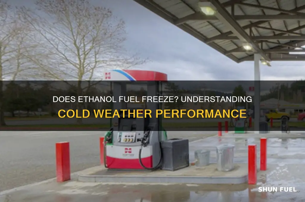 does ethanol fuel freeze