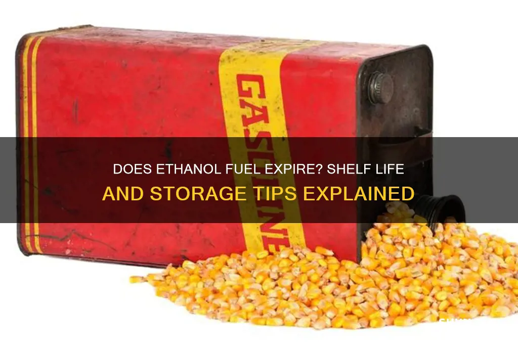 does ethanol fuel go off