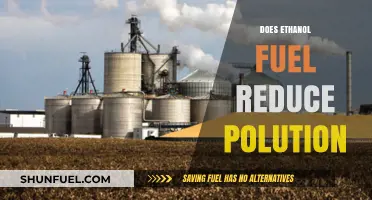 Ethanol Fuel: A Cleaner Alternative to Reduce Pollution?