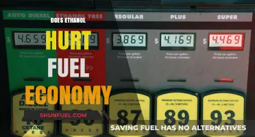Ethanol's Impact on Fuel Economy: Efficiency or Compromise?