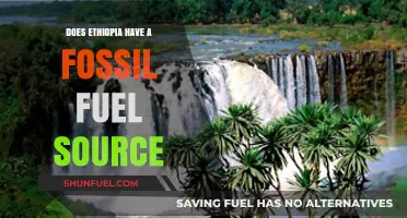 Ethiopia's Fossil Fuel Future: Exploring Energy Sources
