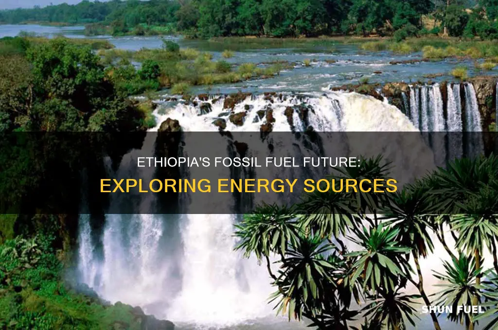 does ethiopia have a fossil fuel source