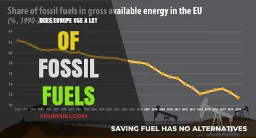 Europe's Fossil Fuel Consumption: A Troubling Reality