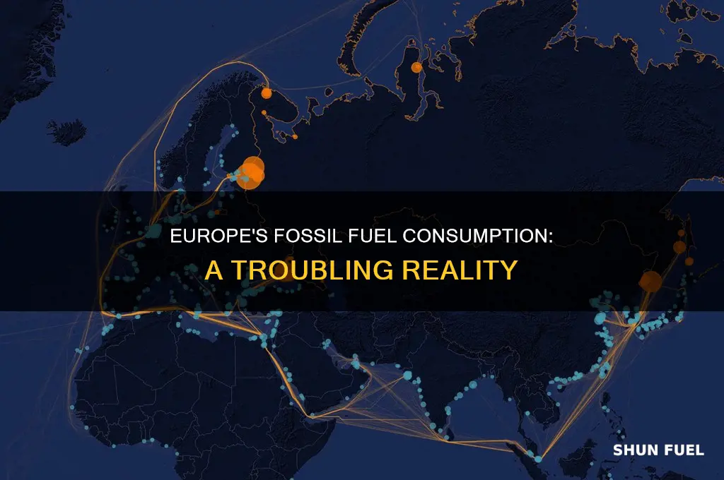 does europe use a lot of fossil fuels