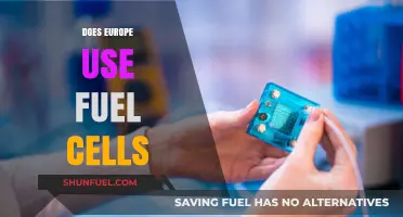 Exploring Europe's Adoption of Fuel Cells for Clean Energy Solutions