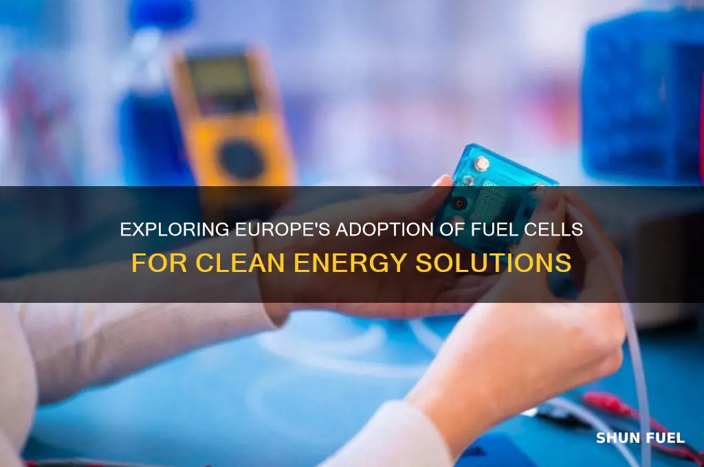 does europe use fuel cells