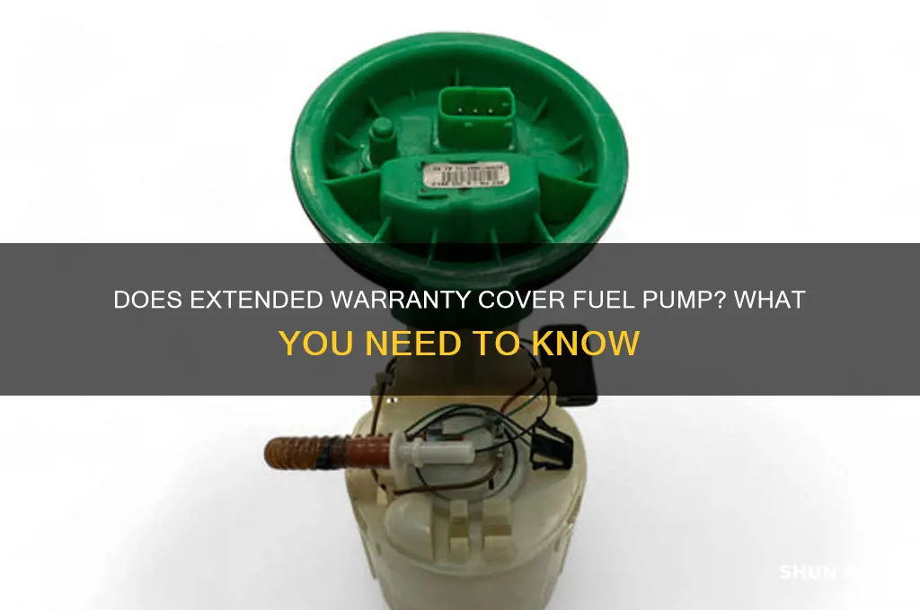 does extended warranty cover fuel pump