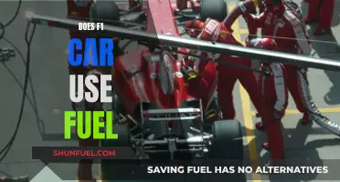 F1 Fuel: Powering the Ultimate Speed Machines