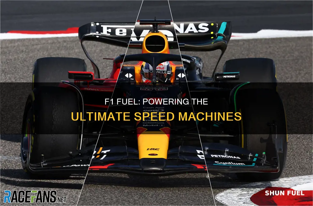 does f1 car use fuel