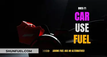 F1 Cars and Fuel: What's the Deal?