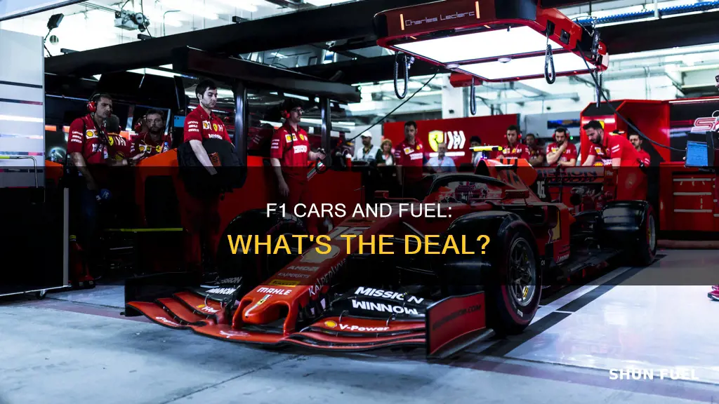 does f1 car use fuel