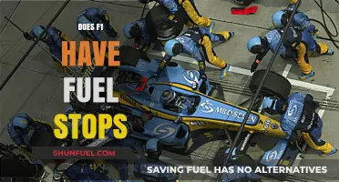 Do F1 Cars Still Make Fuel Stops During Races?