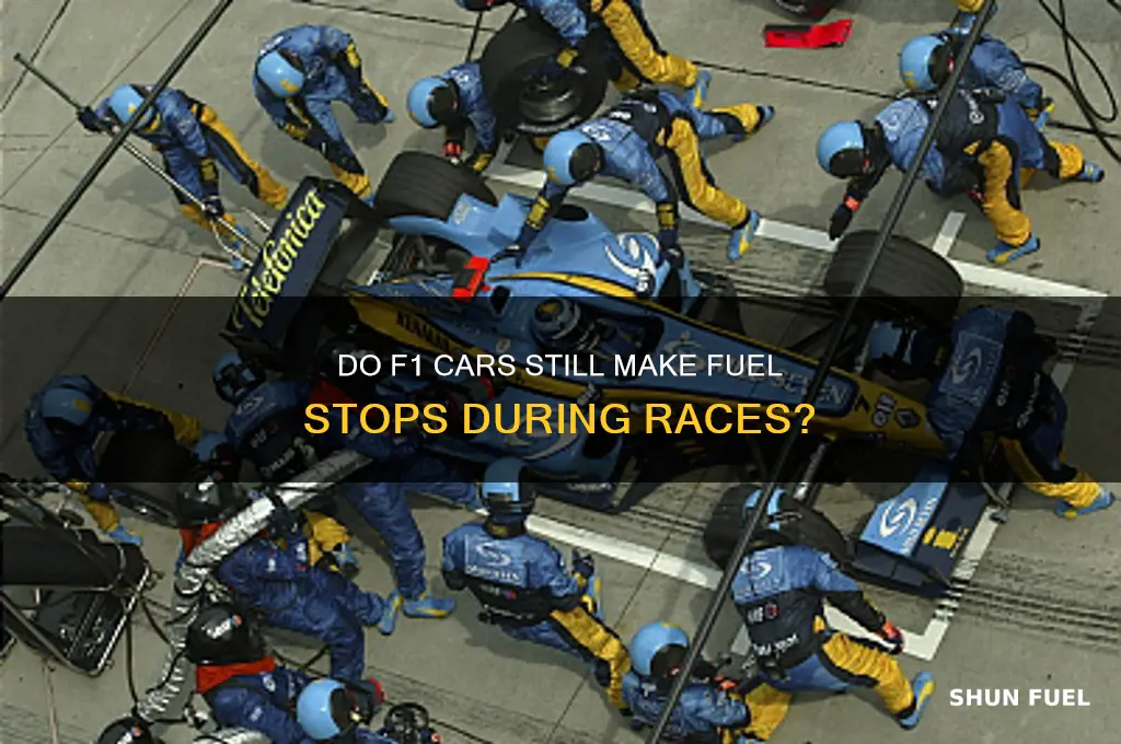 does f1 have fuel stops